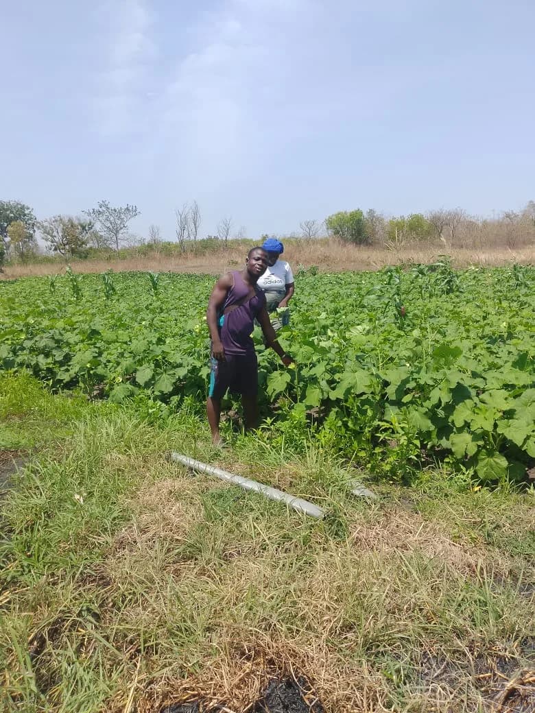 Agriculture