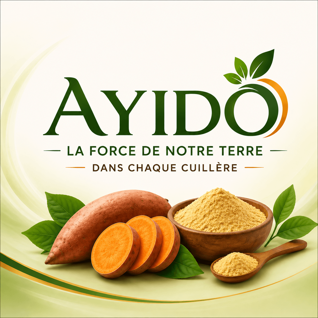 Projet AYIDO : le Comité Scientifique et Technique entre en phase opérationnelle