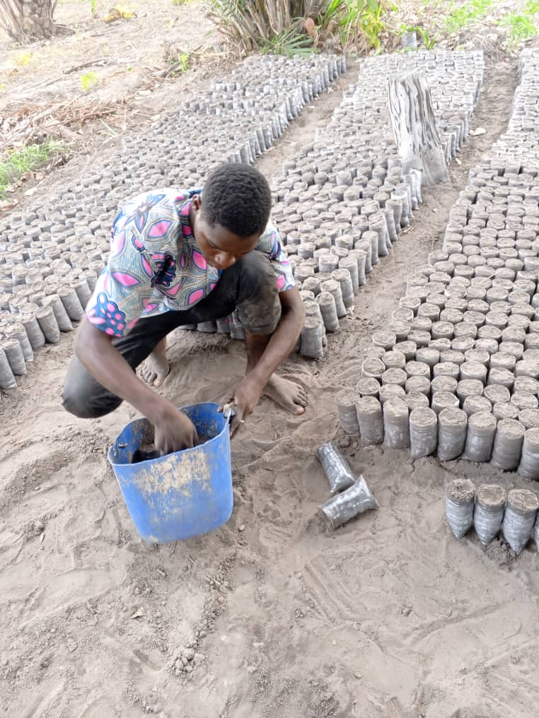 AGOSSOU GBETE ADONICE : VALORISER LES SOLUTIONS BIOLOGIQUES POUR UNE AGRICULTURE PLUS DURABLE