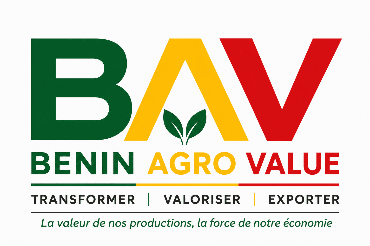 Benin Agro Value
